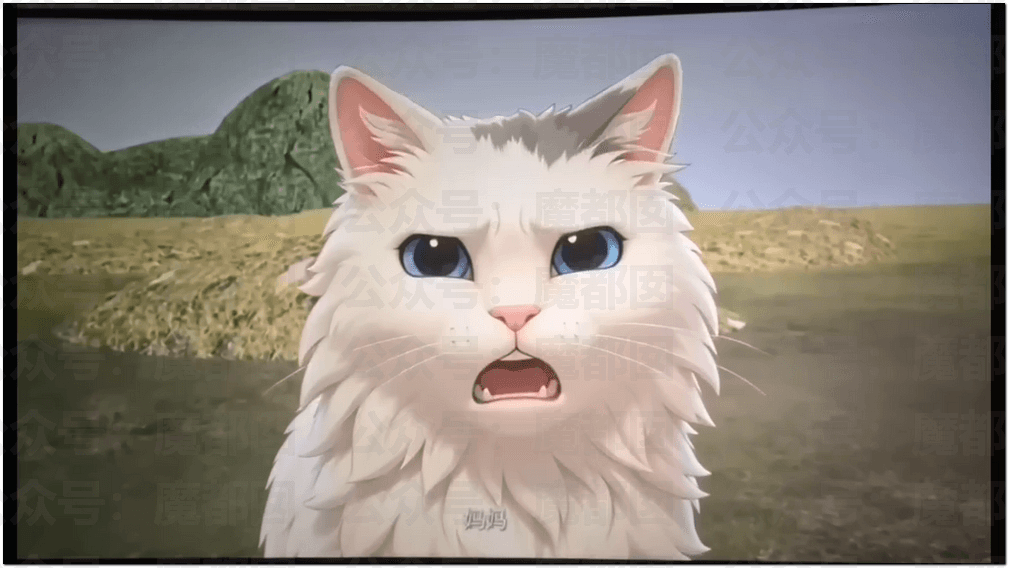 猫来