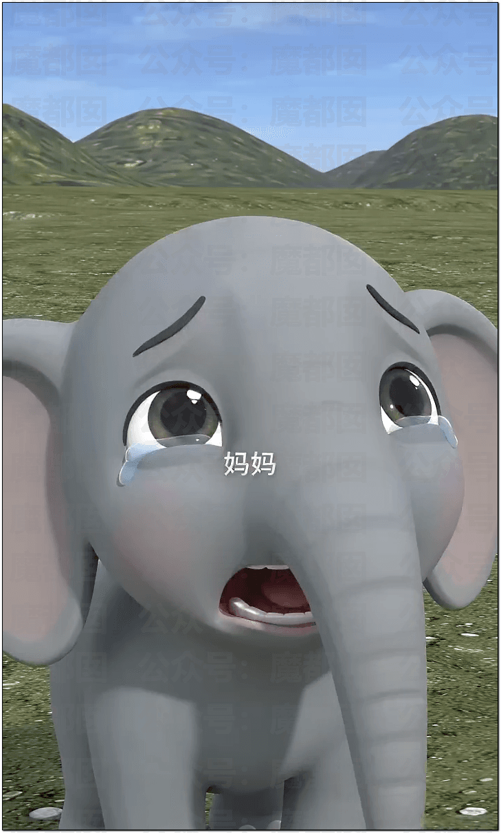 象来